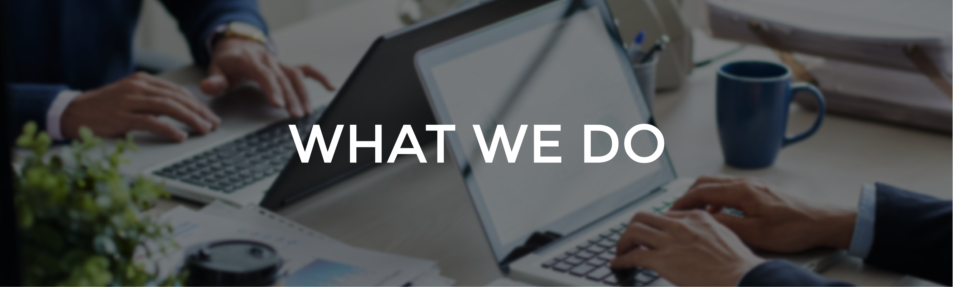 What We Do Banner